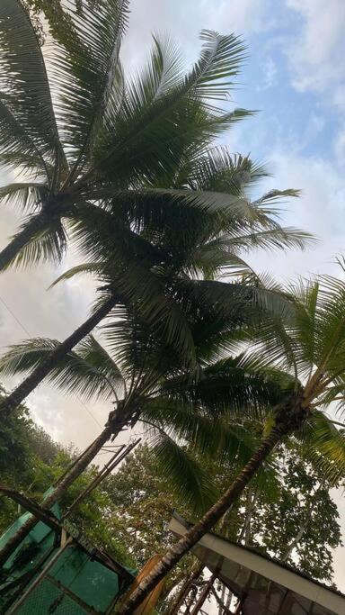Al'S Beach Casa อูวีตา ภายนอก รูปภาพ